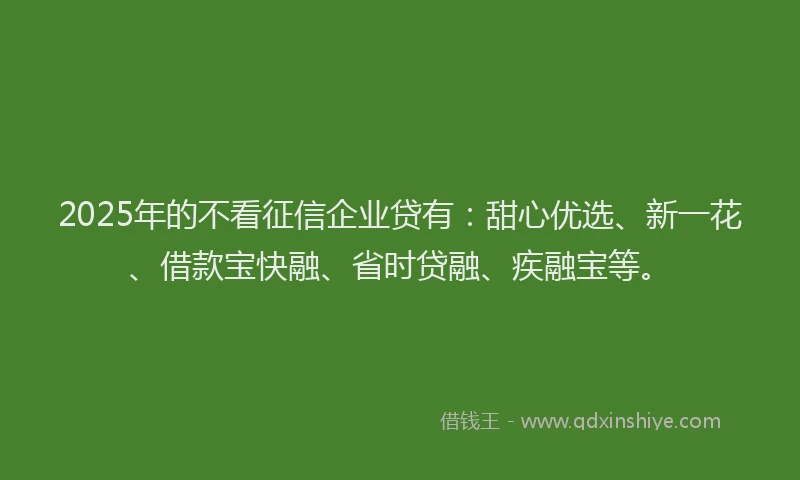 2025年的不看征信企业贷有：甜心优选、新一花、借款宝快融、省时贷融、疾融宝等。