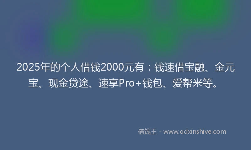 2025年的个人借钱2000元有：钱速借宝融、金元宝、现金贷途、速享Pro+钱包、爱帮米等。