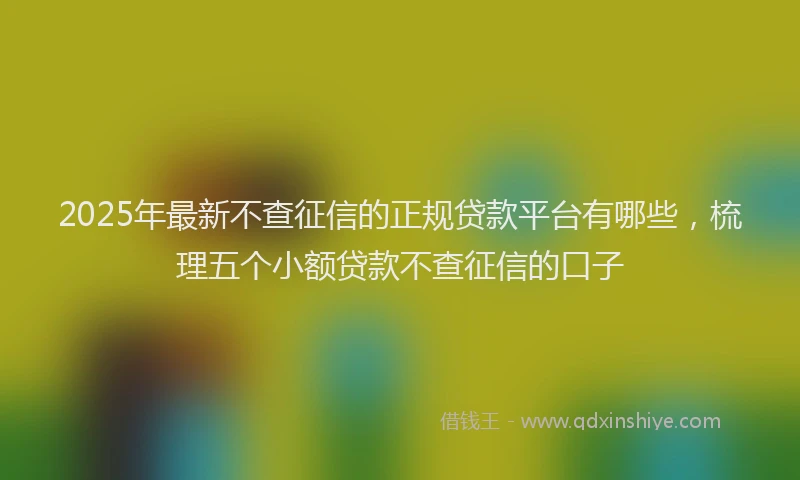 2025年最新不查征信的正规贷款平台有哪些，梳理五个小额贷款不查征信的口子