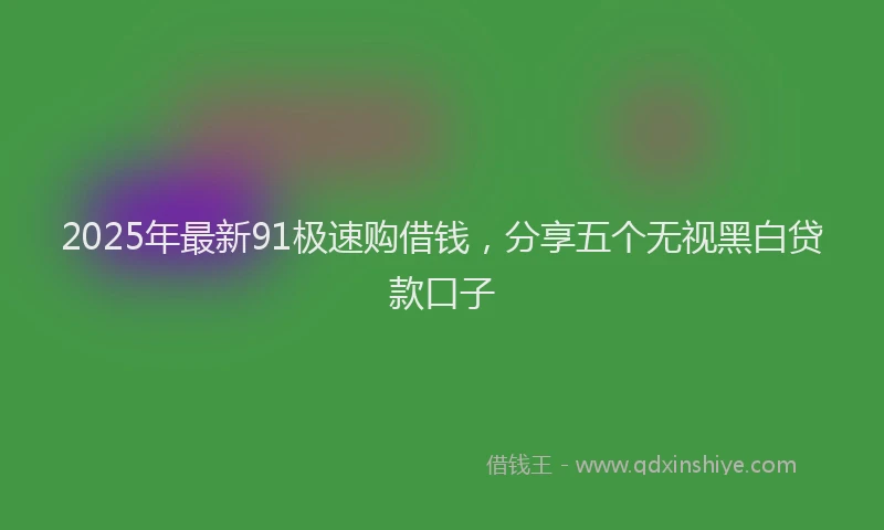2025年最新91极速购借钱，分享五个无视黑白贷款口子