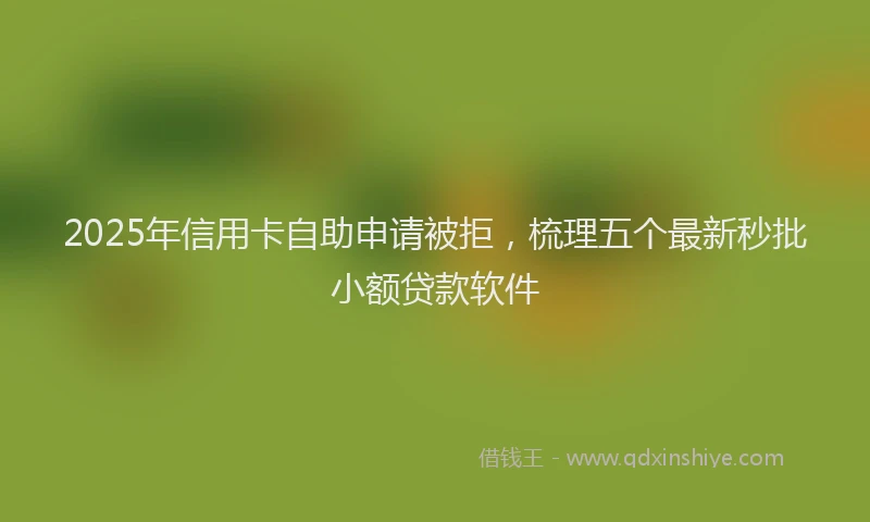 2025年信用卡自助申请被拒，梳理五个最新秒批小额贷款软件