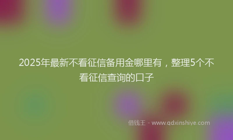 2025年最新不看征信备用金哪里有，整理5个不看征信查询的口子