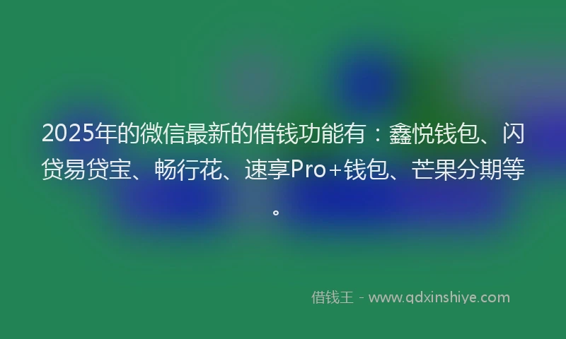 2025年的微信最新的借钱功能有：鑫悦钱包、闪贷易贷宝、畅行花、速享Pro+钱包、芒果分期等。