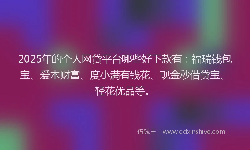2025年的个人网贷平台哪些好下款有：福瑞钱包宝、爱木财富、度小满有钱花、现金秒借贷宝、轻花优品等。