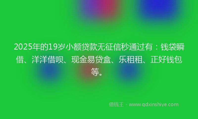 2025年的19岁小额贷款无征信秒通过有：钱袋瞬借、洋洋借呗、现金易贷盒、乐租租、正好钱包等。