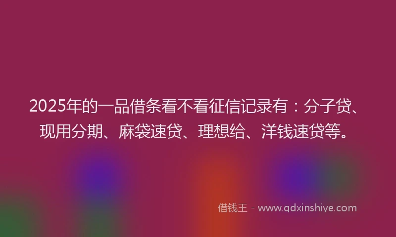 2025年的一品借条看不看征信记录有：分子贷、现用分期、麻袋速贷、理想给、洋钱速贷等。