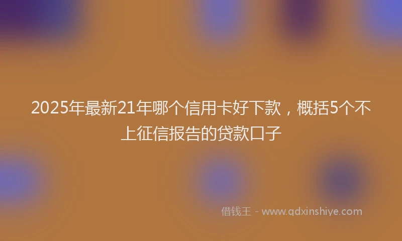 2025年最新21年哪个信用卡好下款，概括5个不上征信报告的贷款口子