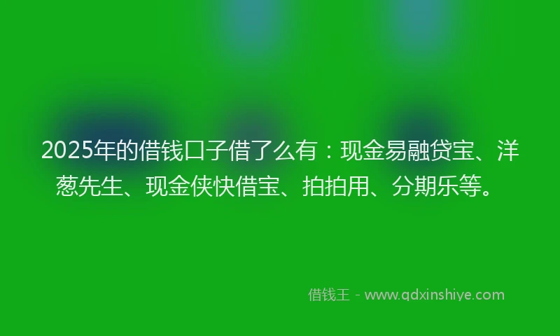 2025年的借钱口子借了么有：现金易融贷宝、洋葱先生、现金侠快借宝、拍拍用、分期乐等。