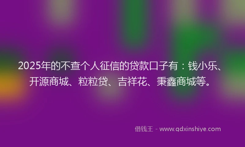 2025年的不查个人征信的贷款口子有：钱小乐、开源商城、粒粒贷、吉祥花、秉鑫商城等。