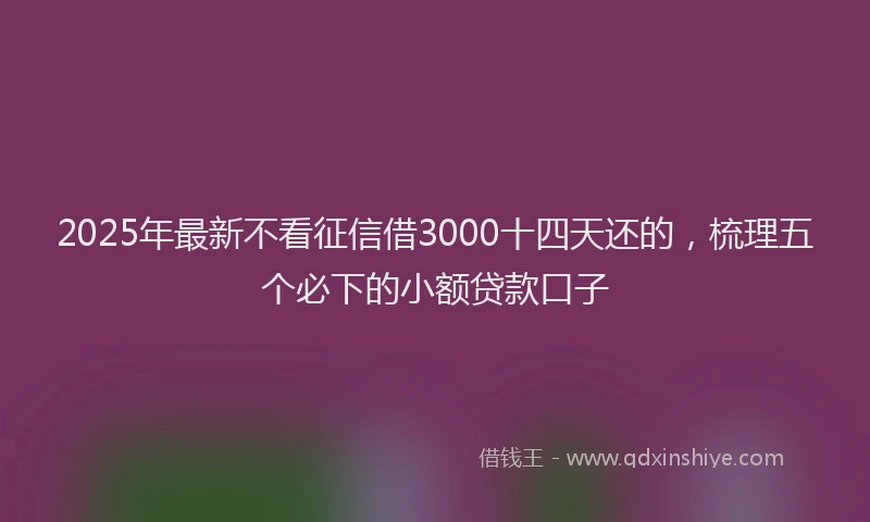 2025年最新不看征信借3000十四天还的，梳理五个必下的小额贷款口子