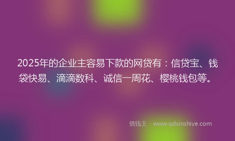 2025年的企业主容易下款的网贷有：信贷宝、钱袋快易、滴滴数科、诚信一周花、樱桃钱包等。