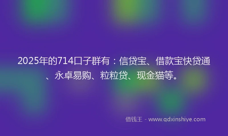 2025年的714口子群有：信贷宝、借款宝快贷通、永卓易购、粒粒贷、现金猫等。