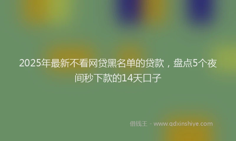 2025年最新不看网贷黑名单的贷款，盘点5个夜间秒下款的14天口子