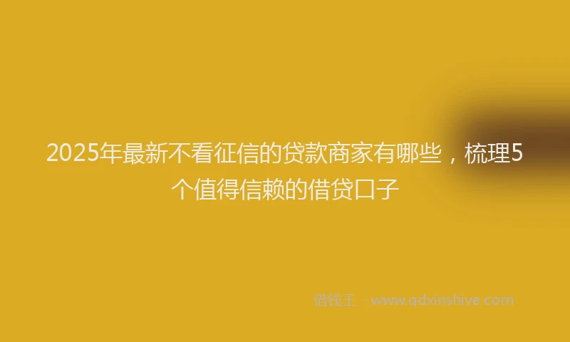 2025年最新不看征信的贷款商家有哪些，梳理5个值得信赖的借贷口子