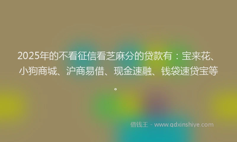 2025年的不看征信看芝麻分的贷款有：宝来花、小狗商城、沪商易借、现金速融、钱袋速贷宝等。