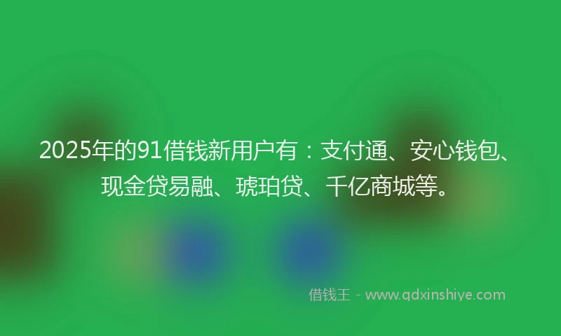 2025年的91借钱新用户有：支付通、安心钱包、现金贷易融、琥珀贷、千亿商城等。