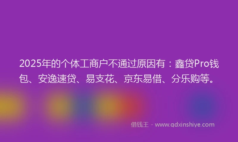 2025年的个体工商户不通过原因有：鑫贷Pro钱包、安逸速贷、易支花、京东易借、分乐购等。