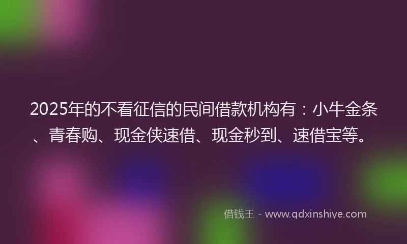 2025年的不看征信的民间借款机构有：小牛金条、青春购、现金侠速借、现金秒到、速借宝等。