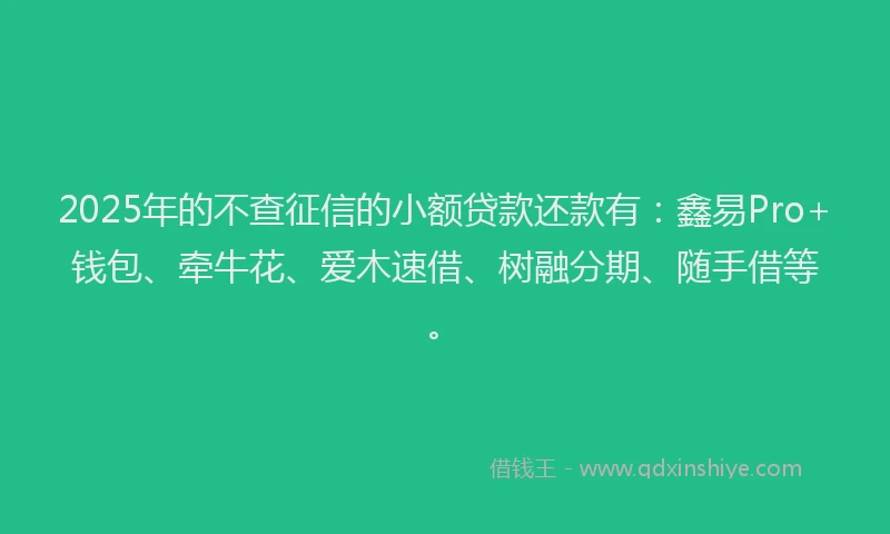 2025年的不查征信的小额贷款还款有：鑫易Pro+钱包、牵牛花、爱木速借、树融分期、随手借等。