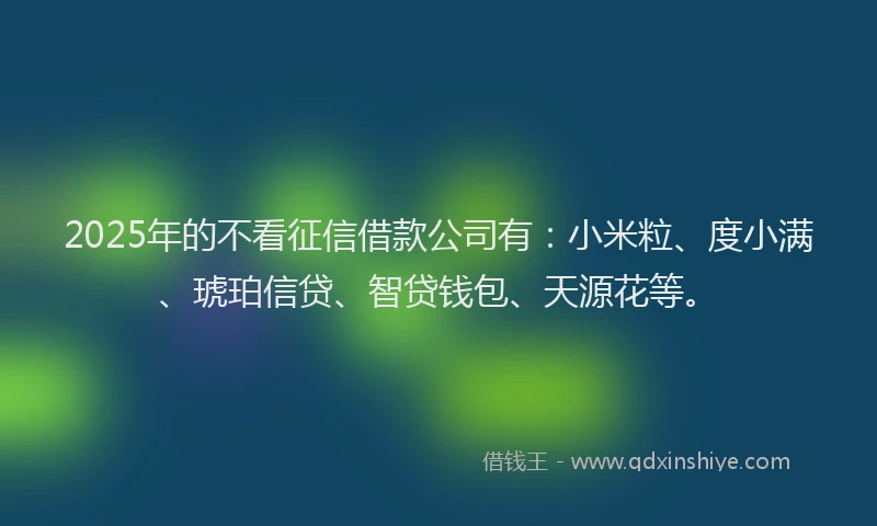 2025年的不看征信借款公司有：小米粒、度小满、琥珀信贷、智贷钱包、天源花等。