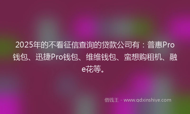 2025年的不看征信查询的贷款公司有：普惠Pro钱包、迅捷Pro钱包、维维钱包、蛮想购租机、融e花等。