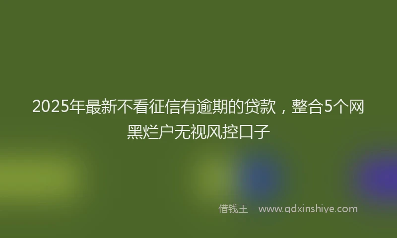 2025年最新不看征信有逾期的贷款，整合5个网黑烂户无视风控口子