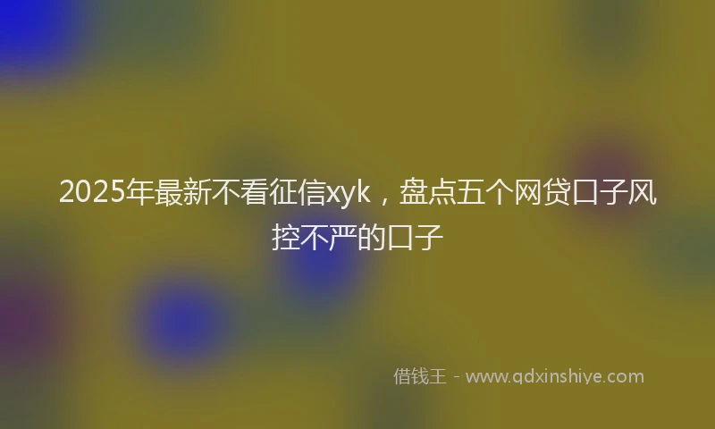 2025年最新不看征信xyk，盘点五个网贷口子风控不严的口子
