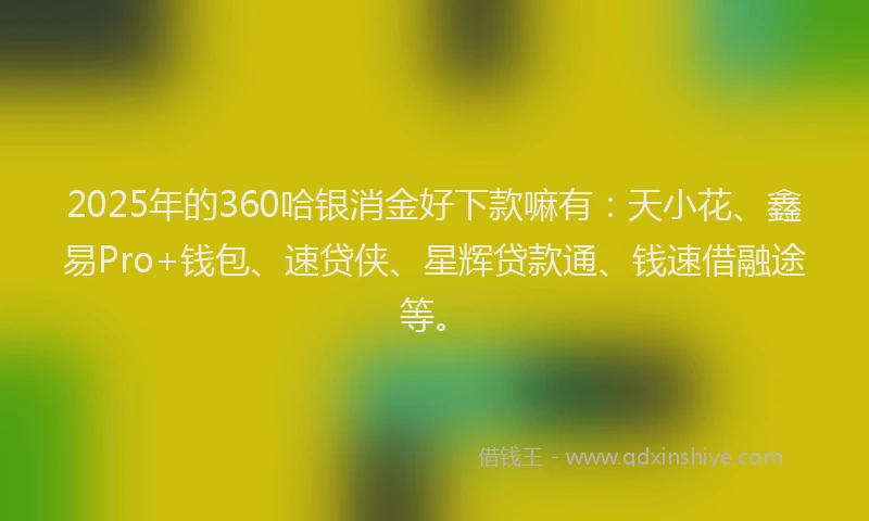 2025年的360哈银消金好下款嘛有：天小花、鑫易Pro+钱包、速贷侠、星辉贷款通、钱速借融途等。