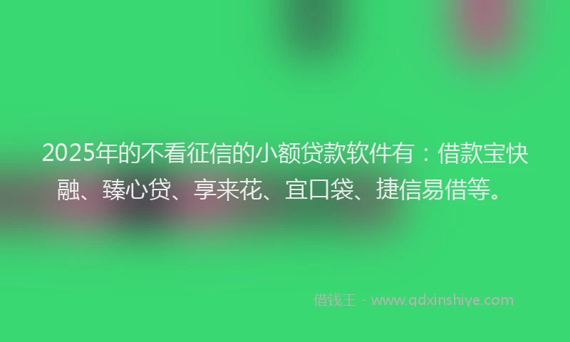 2025年的不看征信的小额贷款软件有：借款宝快融、臻心贷、享来花、宜口袋、捷信易借等。