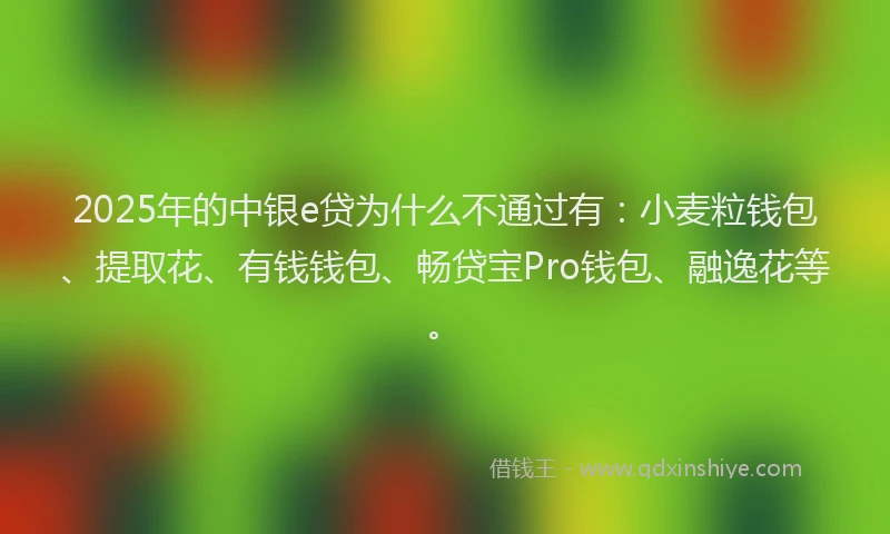 2025年的中银e贷为什么不通过有：小麦粒钱包、提取花、有钱钱包、畅贷宝Pro钱包、融逸花等。