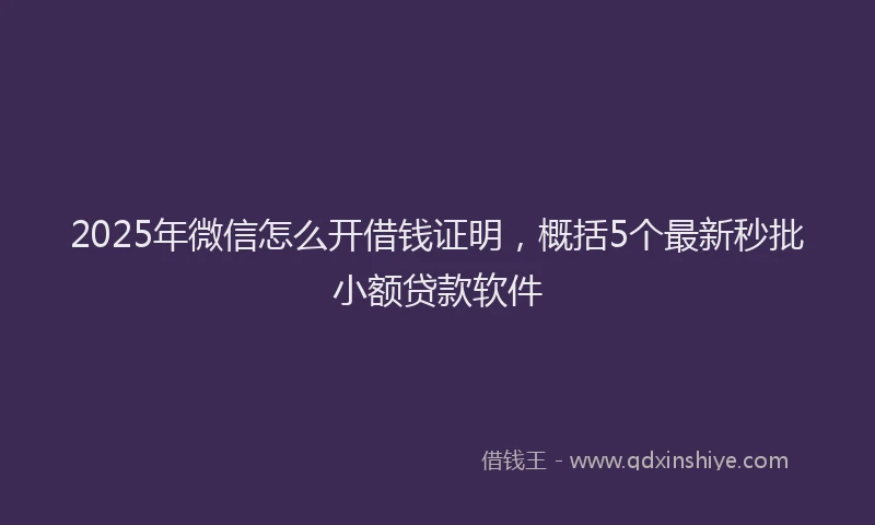 2025年微信怎么开借钱证明，概括5个最新秒批小额贷款软件
