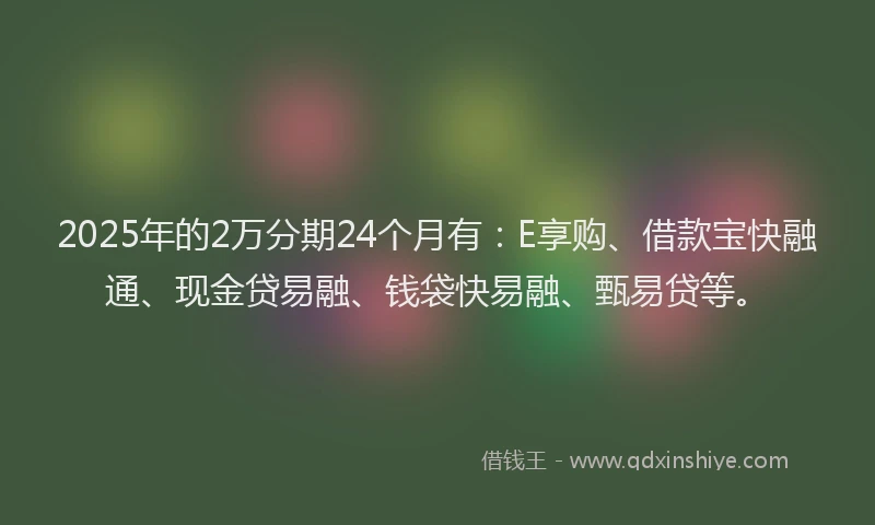2025年的2万分期24个月有：E享购、借款宝快融通、现金贷易融、钱袋快易融、甄易贷等。