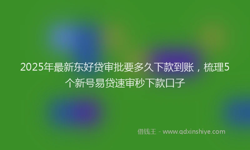 2025年最新东好贷审批要多久下款到账，梳理5个新号易贷速审秒下款口子