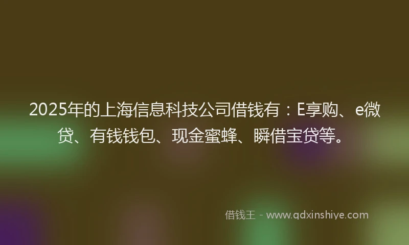2025年的上海信息科技公司借钱有：E享购、e微贷、有钱钱包、现金蜜蜂、瞬借宝贷等。