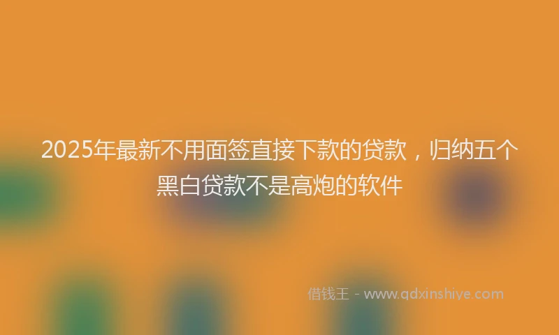 2025年最新不用面签直接下款的贷款，归纳五个黑白贷款不是高炮的软件