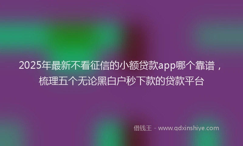 2025年最新不看征信的小额贷款app哪个靠谱，梳理五个无论黑白户秒下款的贷款平台