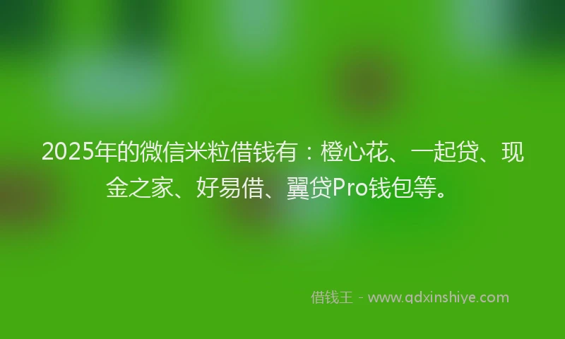 2025年的微信米粒借钱有：橙心花、一起贷、现金之家、好易借、翼贷Pro钱包等。