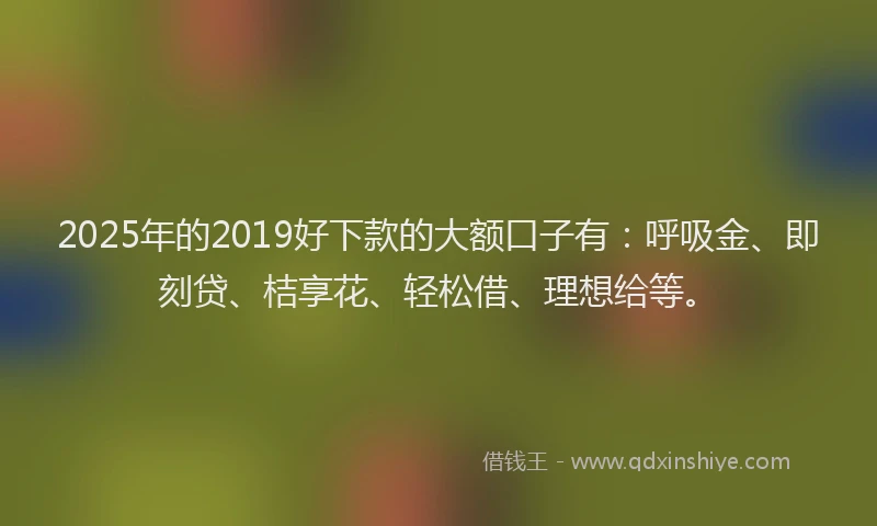 2025年的2019好下款的大额口子有：呼吸金、即刻贷、桔享花、轻松借、理想给等。