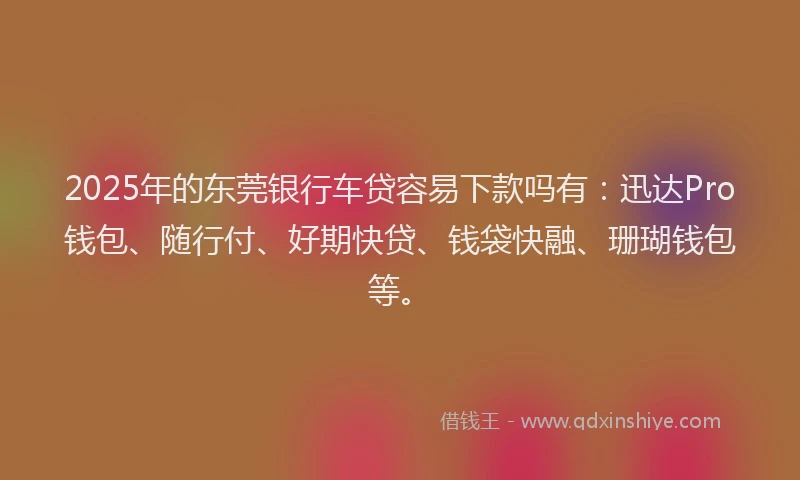 2025年的东莞银行车贷容易下款吗有：迅达Pro钱包、随行付、好期快贷、钱袋快融、珊瑚钱包等。