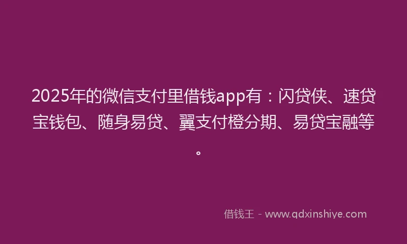 2025年的微信支付里借钱app有：闪贷侠、速贷宝钱包、随身易贷、翼支付橙分期、易贷宝融等。