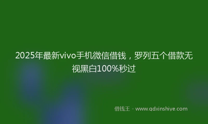 2025年最新vivo手机微信借钱，罗列五个借款无视黑白100%秒过