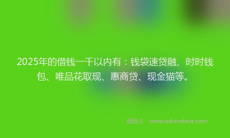 2025年的借钱一千以内有：钱袋速贷融、时时钱包、唯品花取现、惠商贷、现金猫等。