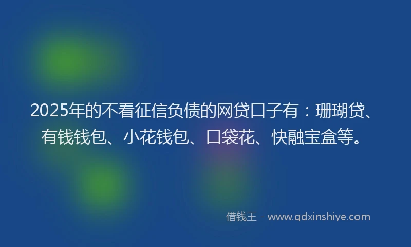 2025年的不看征信负债的网贷口子有：珊瑚贷、有钱钱包、小花钱包、口袋花、快融宝盒等。