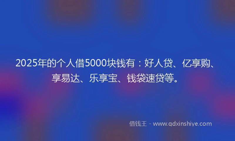 2025年的个人借5000块钱有：好人贷、亿享购、享易达、乐享宝、钱袋速贷等。