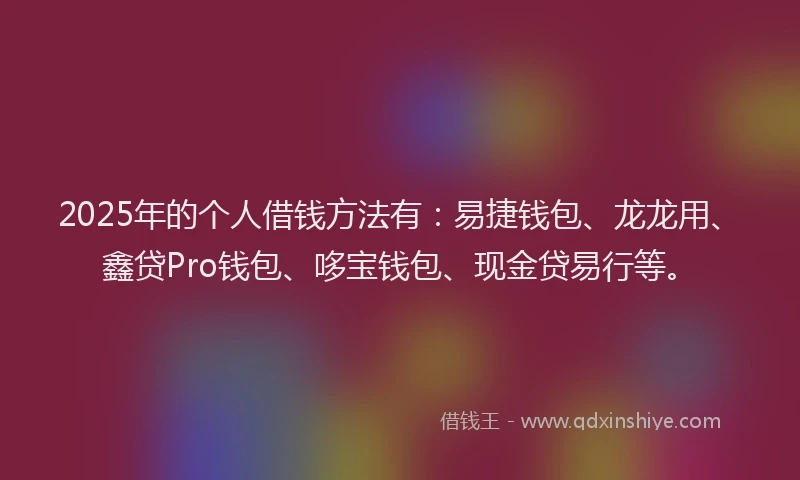 2025年的个人借钱方法有：易捷钱包、龙龙用、鑫贷Pro钱包、哆宝钱包、现金贷易行等。