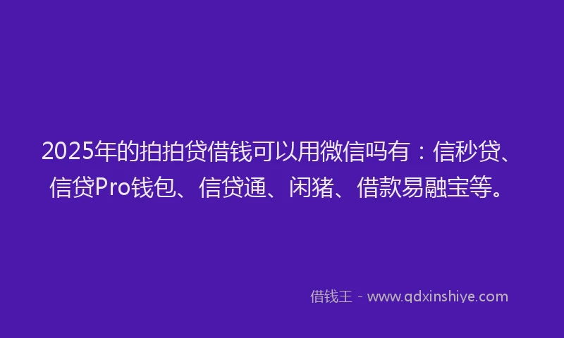 2025年的拍拍贷借钱可以用微信吗有：信秒贷、信贷Pro钱包、信贷通、闲猪、借款易融宝等。