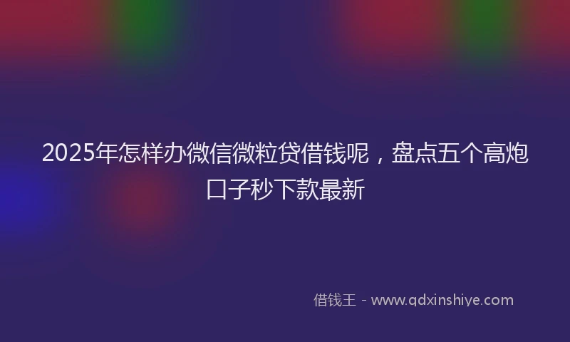 2025年怎样办微信微粒贷借钱呢，盘点五个高炮口子秒下款最新