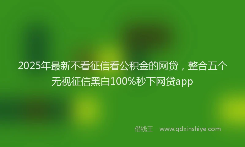 2025年最新不看征信看公积金的网贷，整合五个无视征信黑白100%秒下网贷app