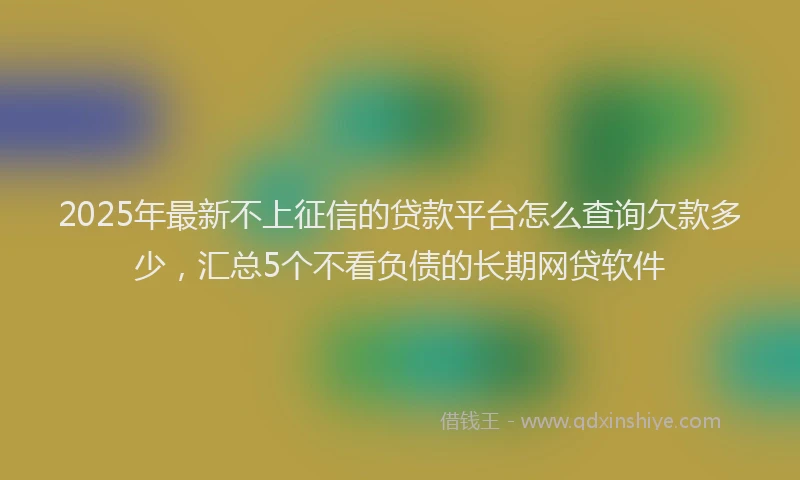 2025年最新不上征信的贷款平台怎么查询欠款多少，汇总5个不看负债的长期网贷软件