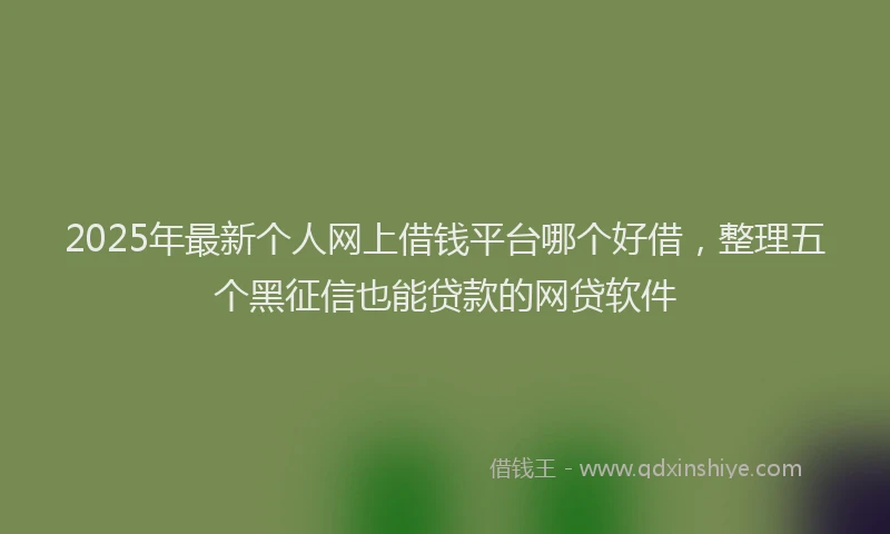 2025年最新个人网上借钱平台哪个好借，整理五个黑征信也能贷款的网贷软件